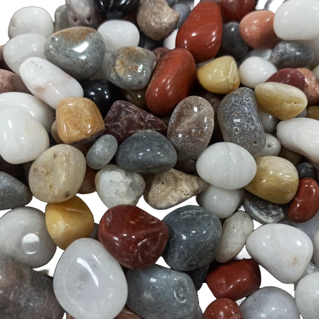 Polished Mixed Pebbles Stones 500gm | Mulripurpose Decorative stone for Aquarium, Garden, Plant Pots, Terrariums (500gm) (B0DG88286G) Amazon Price History, Amazon Price Tracker