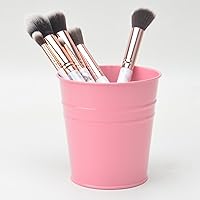 Vista 4 de Soporte para bolígrafo para escritorio, soporte para lápices, organizador de bolígrafos de metal, organizador de almacenamiento de pequeñas macetas