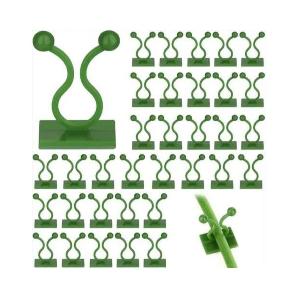 30 pcs Plant Climbing Fixing Wall Clips for Live Money Plant Leaf Organizer, Wall Support Creepers Widely Used for Plants Holder - Self Adhesive Plant Vine Backed Twist Clips (Green/Pack of 30) (B0CD7LBQ3N) Amazon Price History, Amazon Price Tracker
