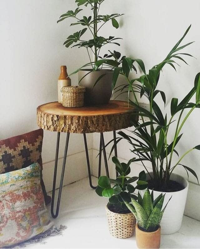 FANTASTIC STORE 9 Antique Wooden End Table | Small Side Table | Corner Stool Plant Stand for Bedroom, Living Room (Black Foldable Metal Legs) sheesham Wood with bark | Brown (B0BXWXQF88) Amazon Price History, Amazon Price Tracker