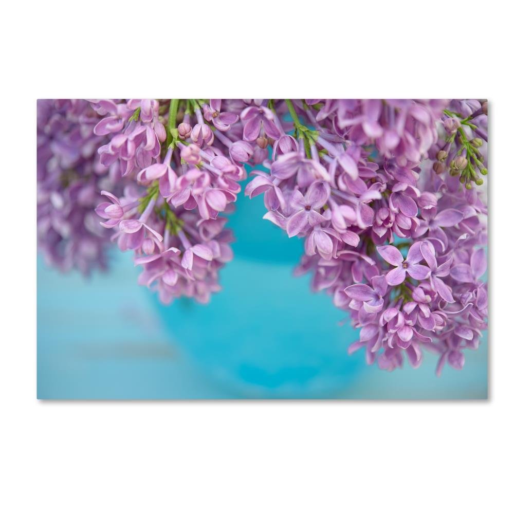 Trademark Fine Art ALI16450-C1219GG Lilacs in Blue Vase V
