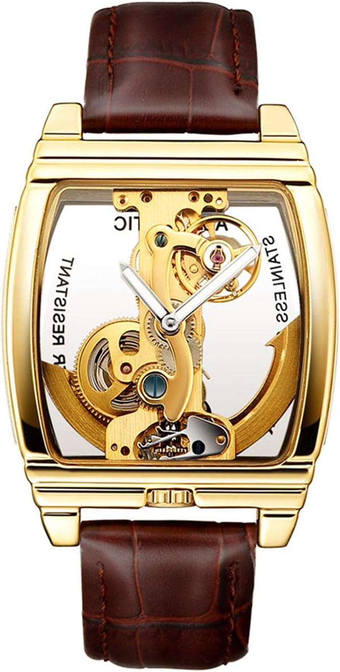 Luxury Transparent Mens Automatic Steampunk Skeleton Self Winding Mechanical Leather Dress Wristwatches (Brown Gold)