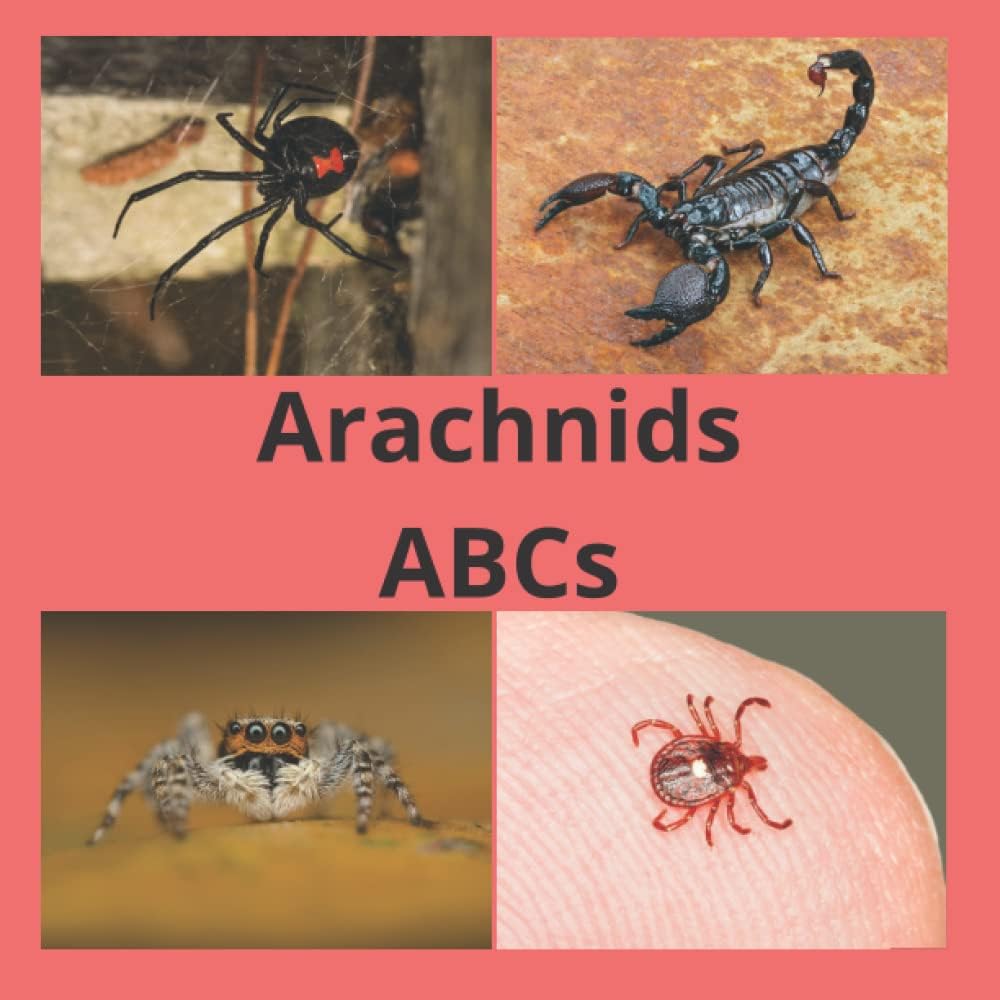 Arachnids ABCs