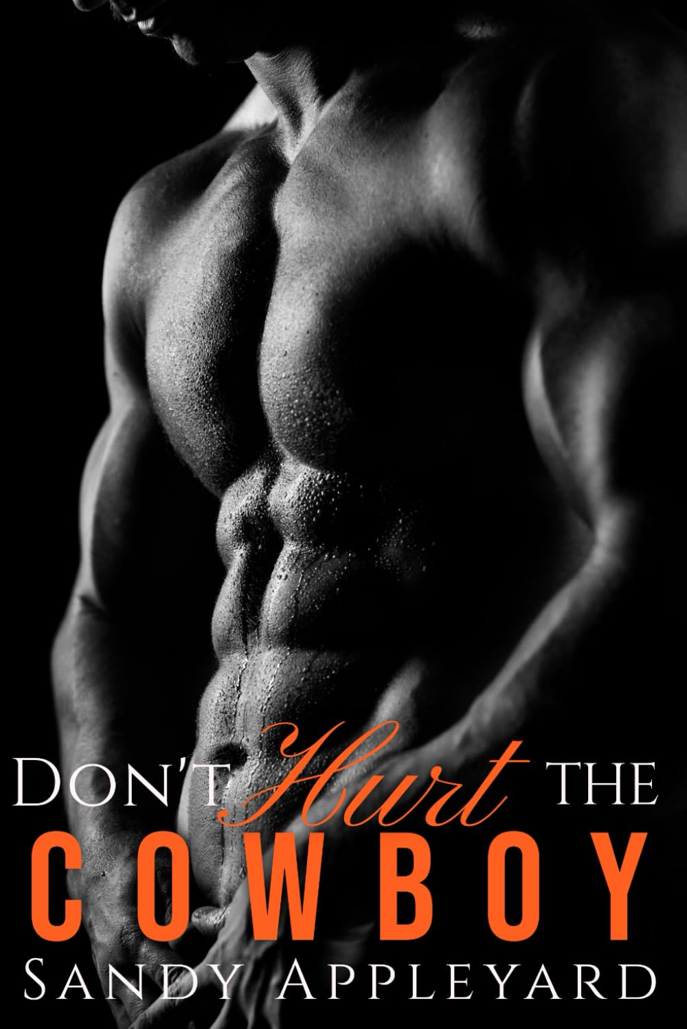 Don't Hurt the Cowboy (A Small Town Steamy Western Romance Series)