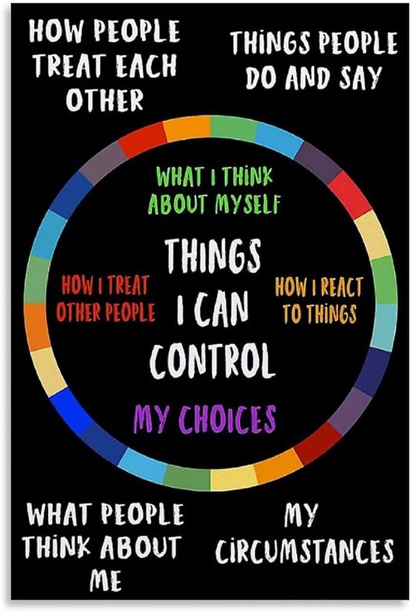 rayprint Metal Tin Signs Social Worker Growth Mentality Poster Things I Can Control My Choices Retro Home Decor Room Wall Decoration Plaque 8x12 Inches