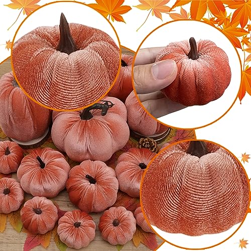 View 5