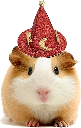 Sombrero de Halloween, sombrero de hámster, mini sombrero de animales pequeños, disfraz de animal pequeño, sombrero de mago de Halloween, disfraces
