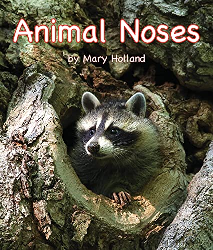 Animal Noses (Animal Anatomy & Adaptations)