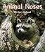 Animal Noses