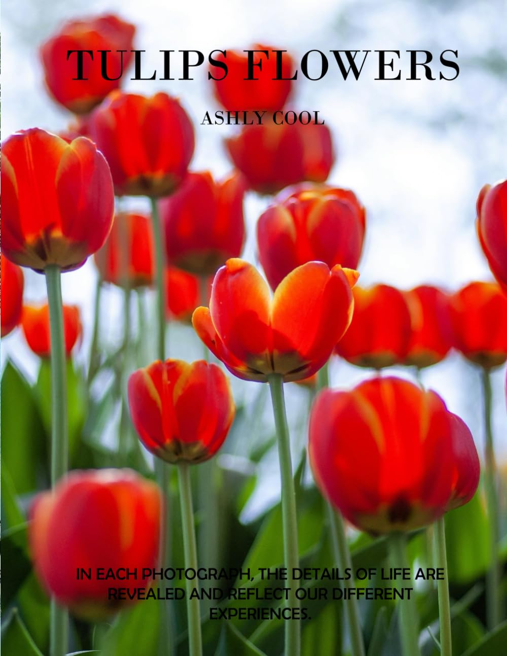 Tulips flowers: Exploring Tulip Flowers: A Visual Journey Through Nature’s Colorful Blooms