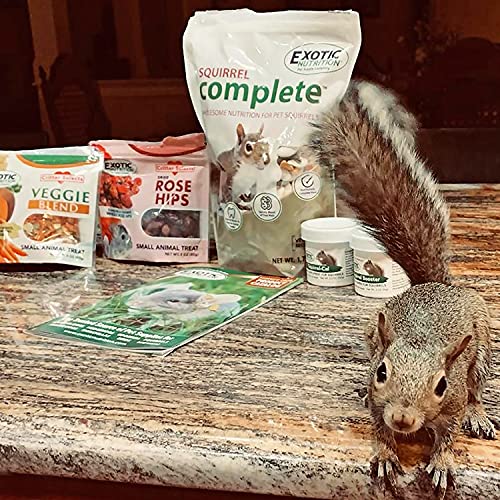 image for Exotic Nutrition Squirrel Food Starter Package - Includes Nutritionall