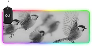 Wireless Charging Mouse Pad-Flying Bird, RGB Gaming Desk Mat M | 14 Light Effects, Anti-slip Base, Keyboard Mats, Stitched Edges