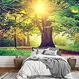 wall26 - Beautiful Park Tree - Removable Wall Mural | Self-Adhesive Large Wallpaper - 100x144 inches