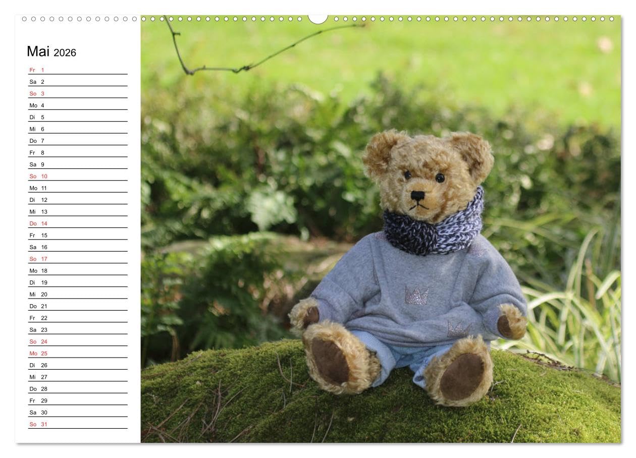 Teddy unterwegs (hochwertiger Premium Wandkalender 2026 DIN A2 quer), Kunstdruck in Hochglanz: Ein Teddykalender für die ganze Familie (CALVENDO Spass)