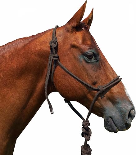 Vista 10 de Saddlesworld Cabestro de entrenamiento de cuerda para caballos con cuerda Azul,Negro -,Marrón,Verde claro,Rojo