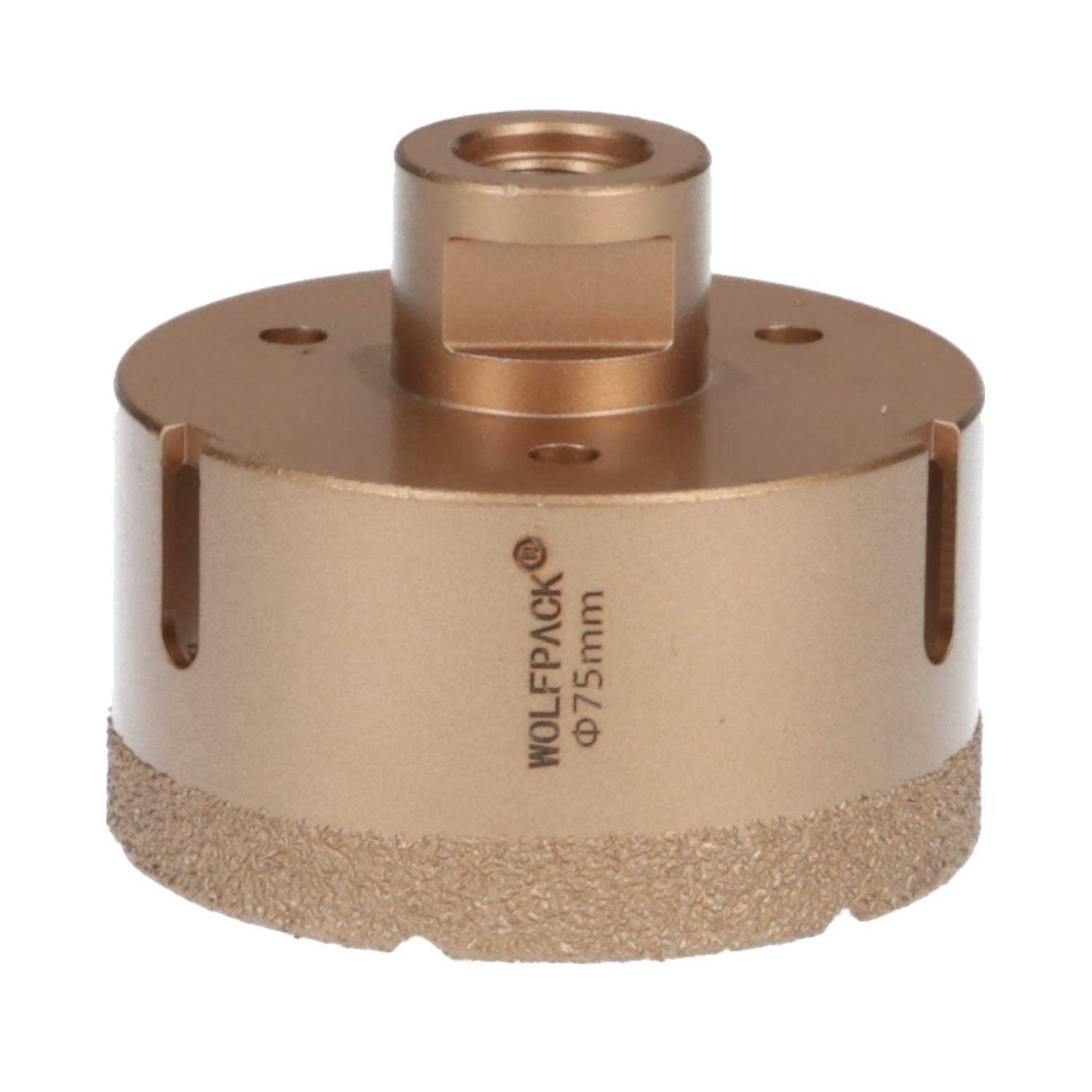 WOLFPACK LINEA PROFESIONAL - Corona Diamante Para Amoladora Ø 75 mm. Conexión Rosca M14. Corte Seco