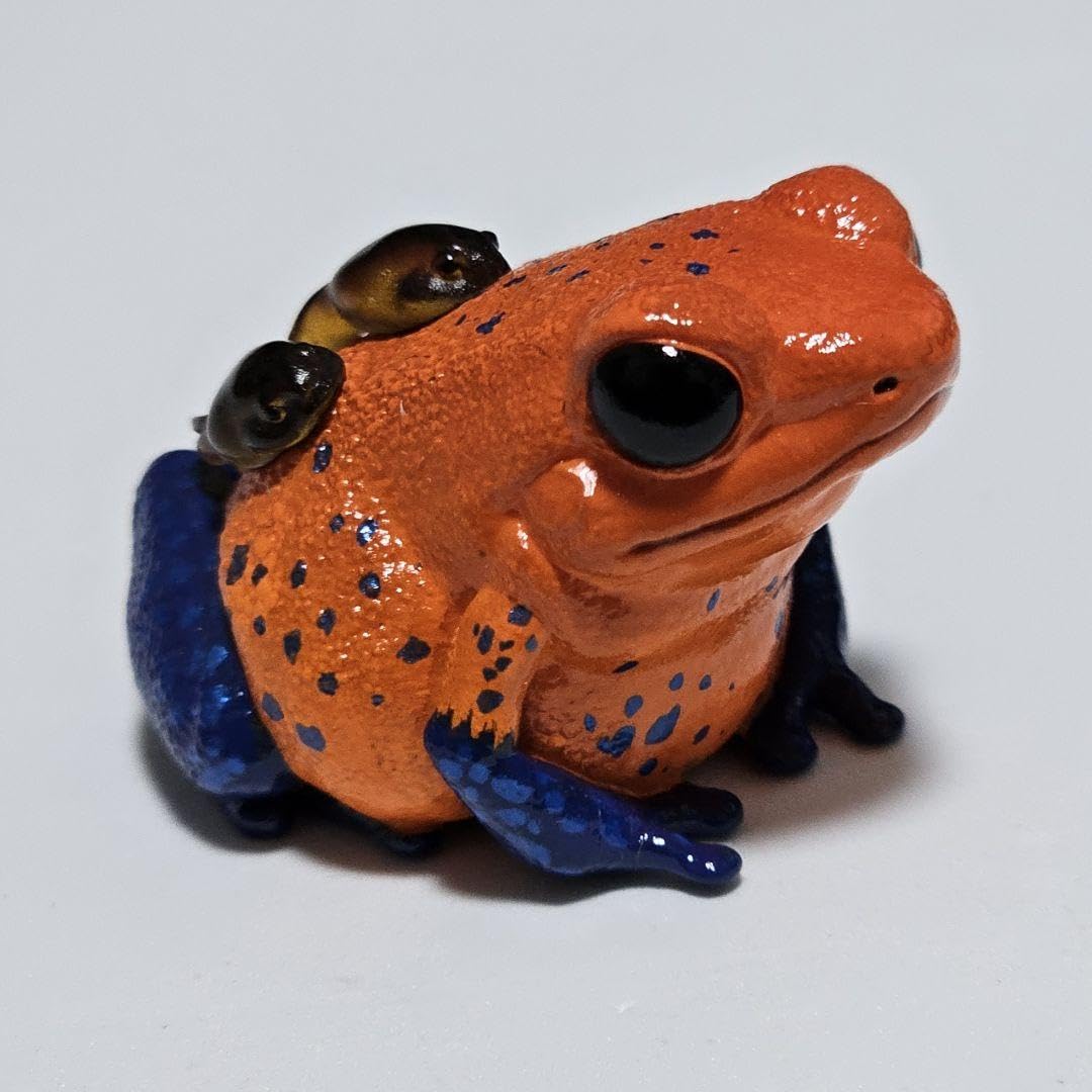 Amazon.co.jp: [動物の惑星] イチゴヤドクガエル新春限定 無し : おもちゃ