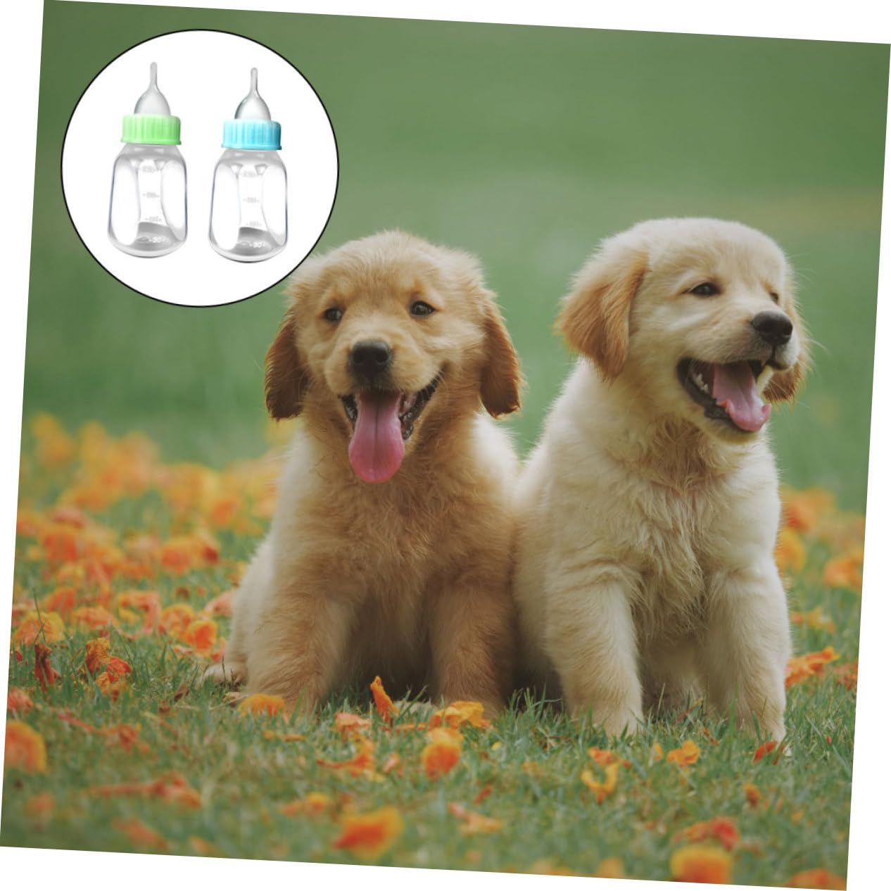 Levemolo Pet Supplies 2 Pack 120ml Kitten Puppy Milk Bottle Cat Dog Feeding Bottle Dropper for Hand Feeding