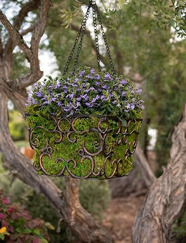 Miniatura 10 de Lámina de musgo preservado SuperMoss, fresco, verde y húmedo Secado natural