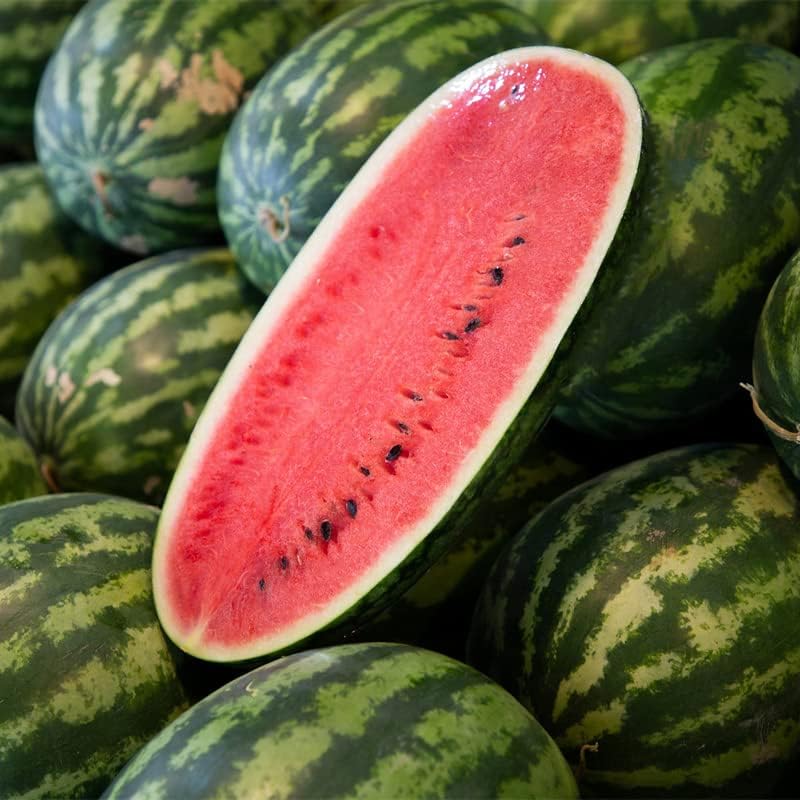 Sandía-Congo (20 semillas)