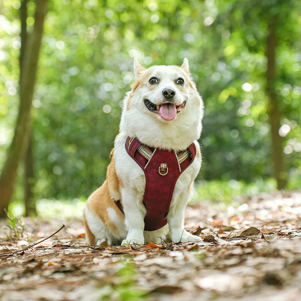 LYVQZPWLRPerros con herramientas, Arnés impermeable de PU for perros, arnés de nailon transpirable, chaleco de entrenamiento for mascotas con tira reflectante for perros pequeños y grandes.(Green,Medi