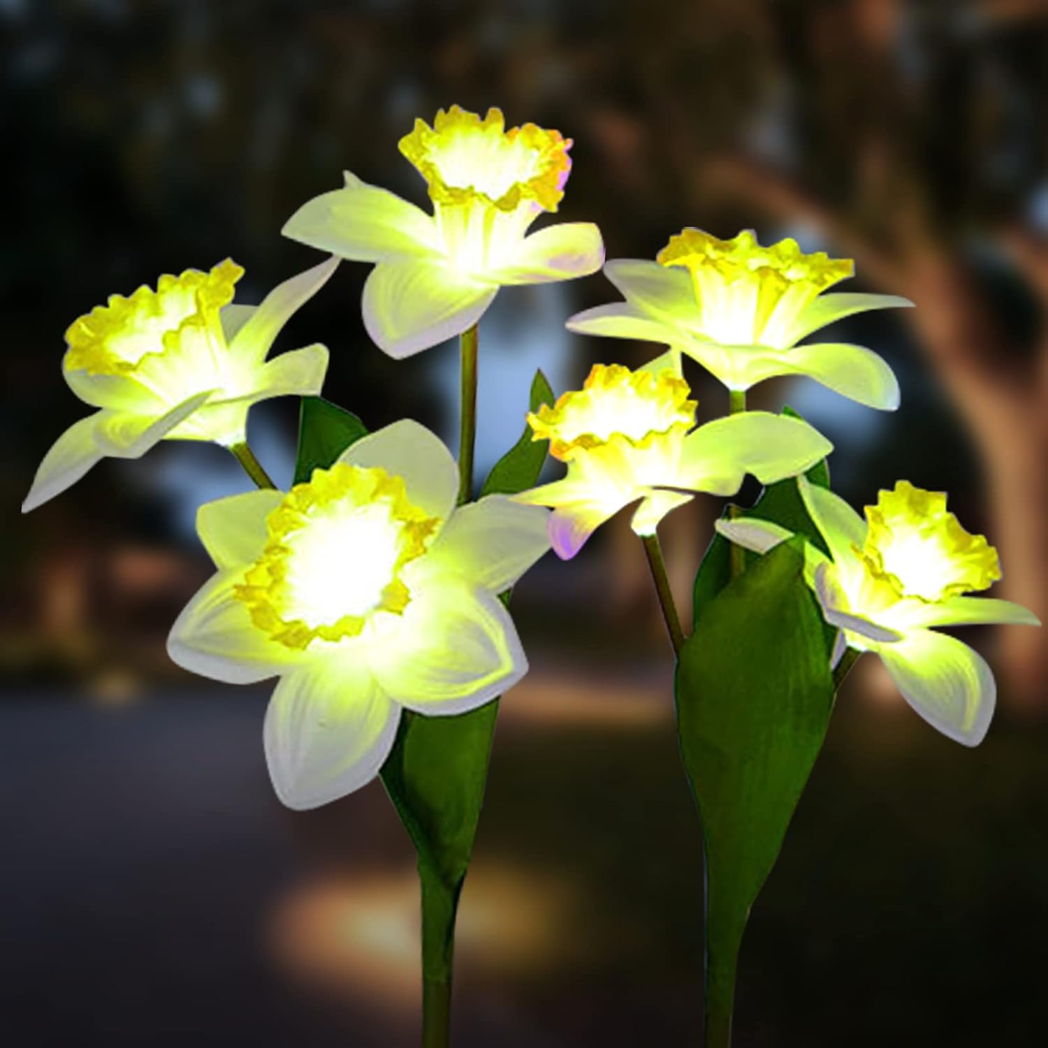 IGRARK Solar Daffodil Flower Lights, 2 Pack Outdoor Solar Powered