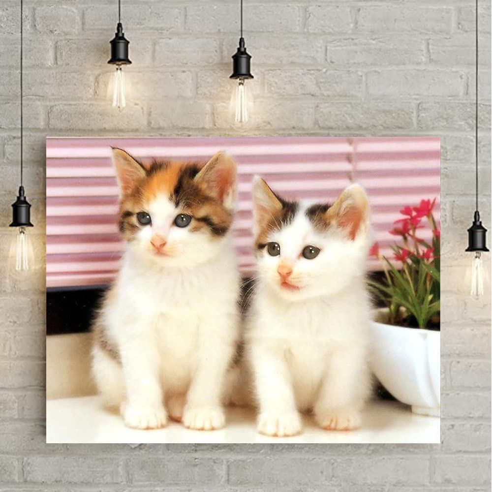 Diamante quadrato 50x40cm pittura con diamanti quadrati gatti e amici