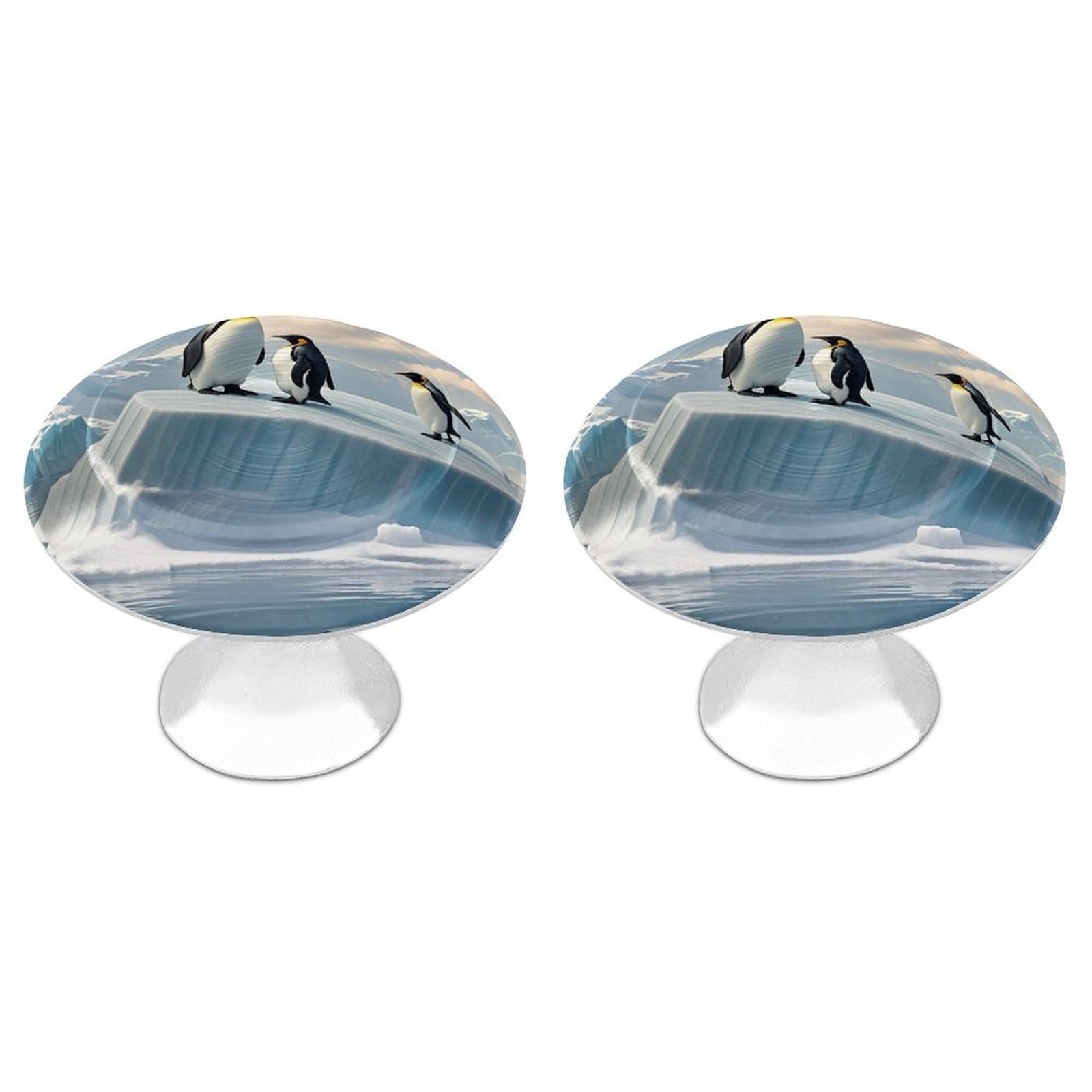 FekiLoot Round Cabinet Knob 2 Pack Kitchen Drawer Knobs Stainless Steel Round Drawer Pulls Modern Cabinet Hardware Penguins On The Iceberg Drawer Hardware for Dresser Closet Door Knobs