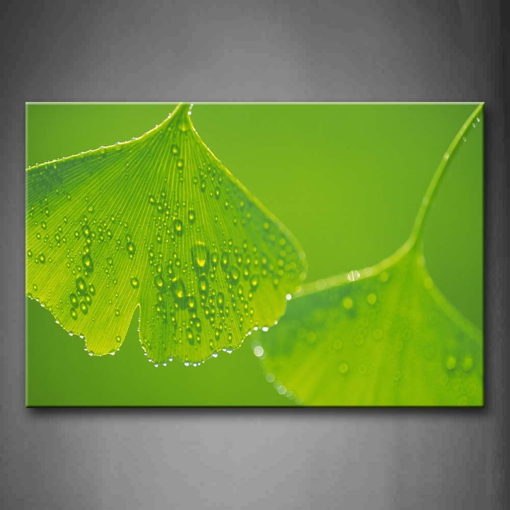 First Wall Art Leaves Like Fans with Plenty of Waterdrops