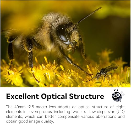 TTARTISAN 40mm F2.8 Makroobjektiv APS-C MF Sony E-Mount — nuotrauka 6