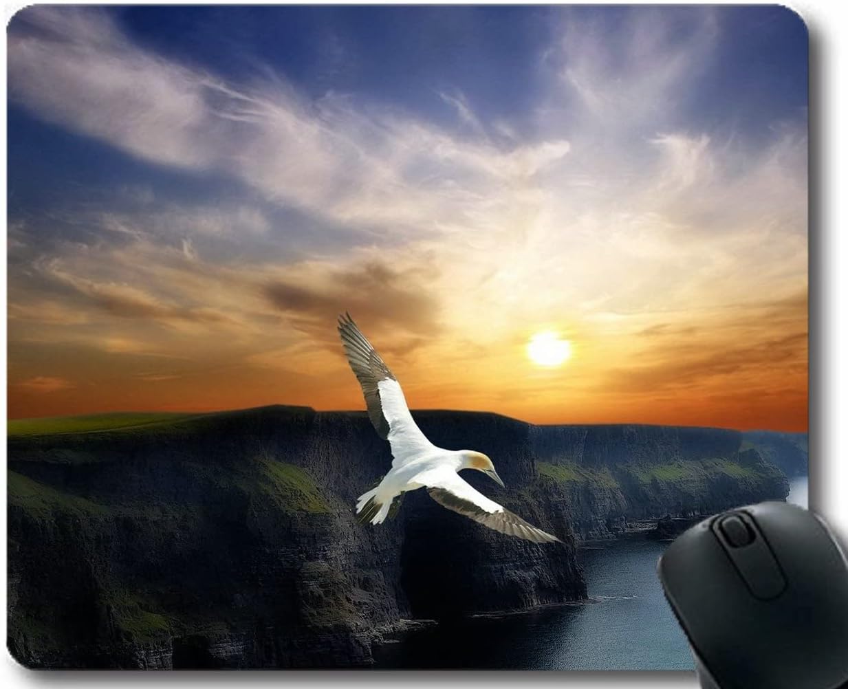 YENDOSTEEN Personalized Your Gaming Mousepad,Bird Flight Wings Rubber Mouse Pad 300x250x3 MM