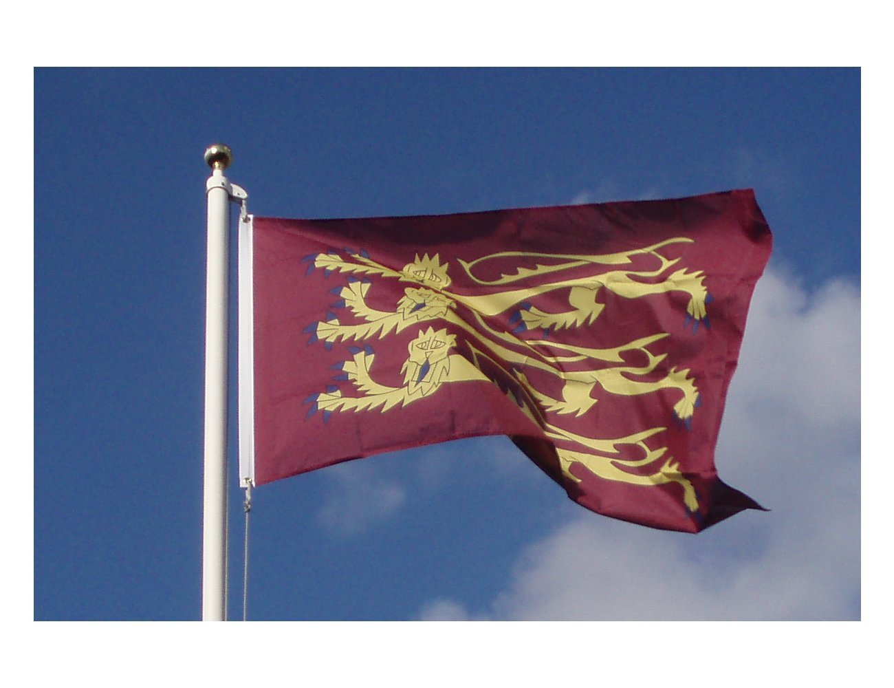 Drapeau Angleterre Lion - FOCO - 1.5x1m - Support Renforcé