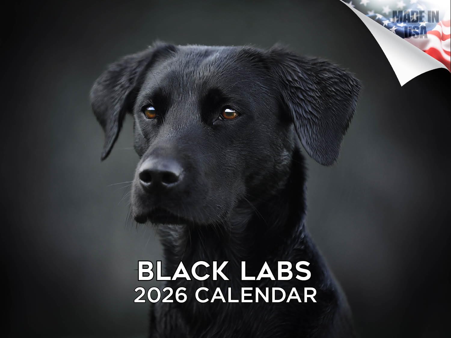 2024 2025 Labrador Black Calendar - Dog Breed Monthly Wall Calendar - 12 x 18 Open - Thick No-Bleed Paper - Giftable - Academic Teacher's Planner Calendar Organizing & Planning - Made in USA