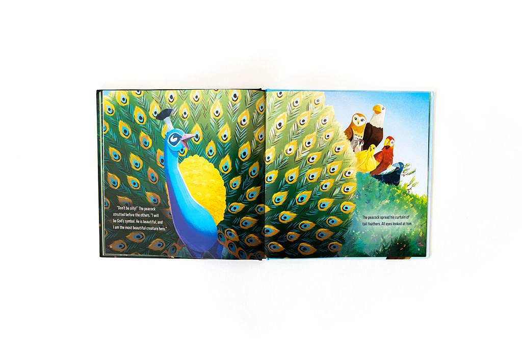 Birds of the Air: Seeing the Hidden Value that God Sees - Image 3