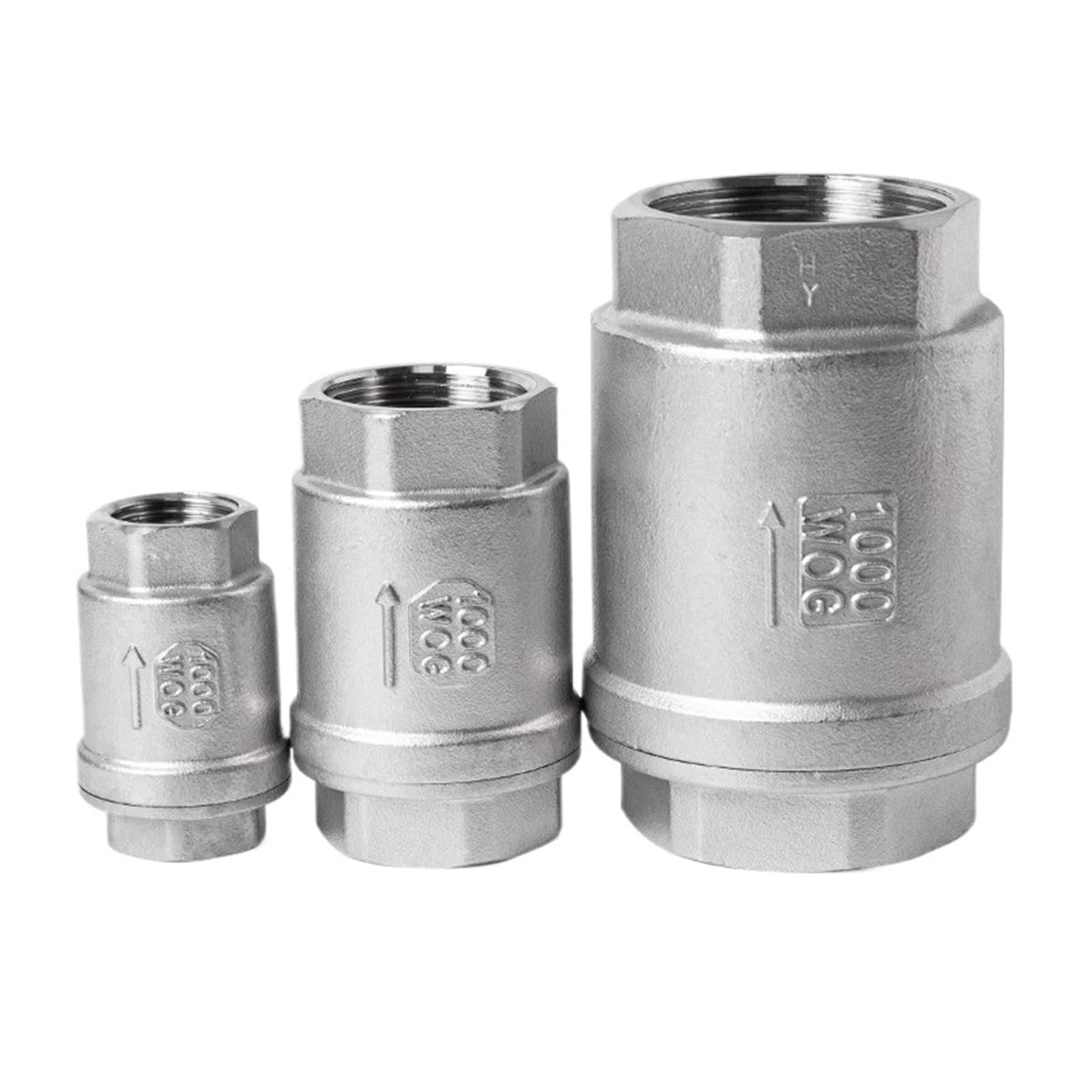 Clapet anti-retour 2" BSPT inox 304 femelle vertical levage ressort