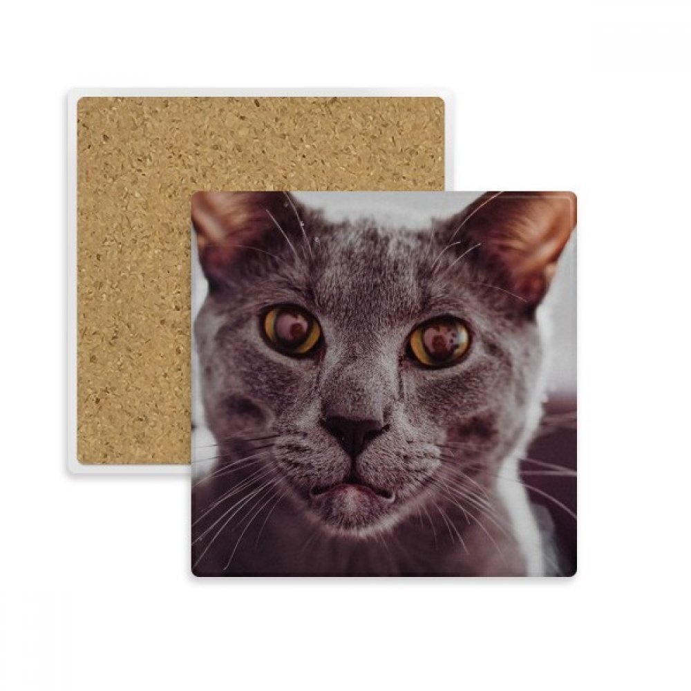 Coaster carré chat en pierre, l'idée cadeau idéale pour les amoureux des félins