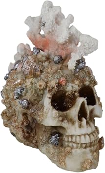 Ebros Gift Nautical Marine Sea Explorer The Great Barrier Coral Reef Shells and Sandy Rocks Skull Figurine 7" Long Nautical Ocean Terror Myth Kraken Ossuary Macabre Skulls Skeletons Sculpture