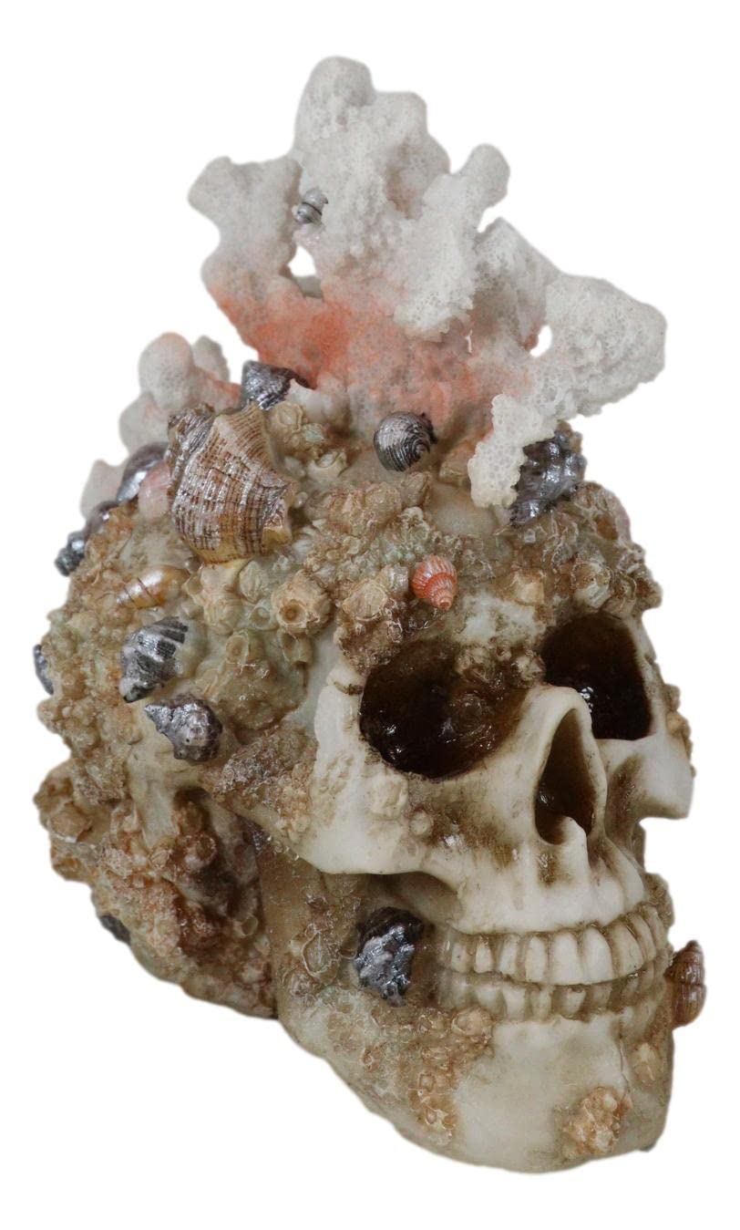 Ebros GiftNautical Marine Sea Explorer The Great Barrier Coral Reef Shells and Sandy Rocks Skull Figurine 7" Long Nautical Ocean Terror Myth Kraken Ossuary Macabre Skulls Skeletons Sculpture
