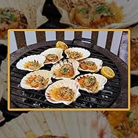 Vista 3 de Generic Conchas grandes de vieiras mixtas de playa, conchas marinas naturales del océano, decoración náutica del hogar, fiesta temática de playa