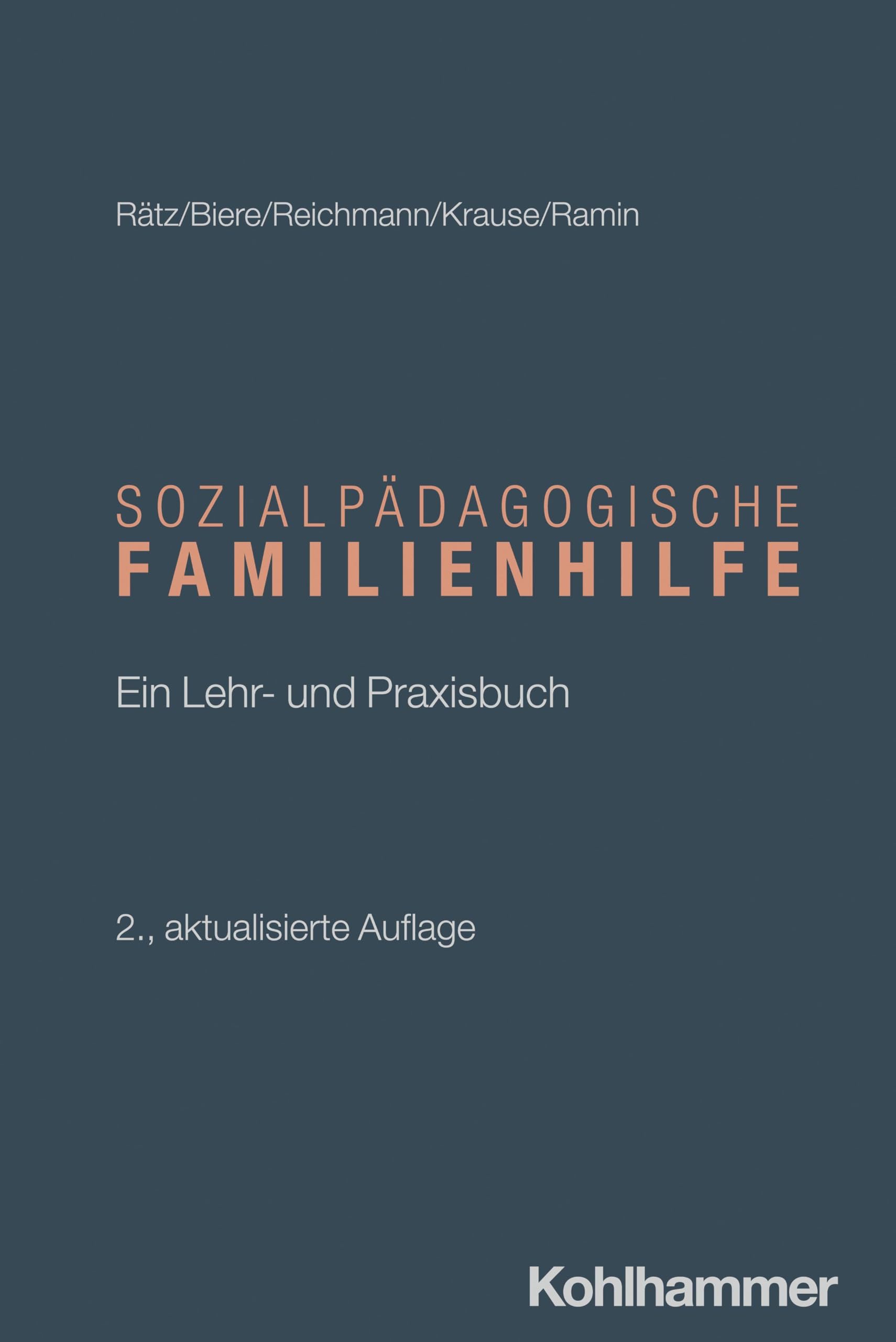 Sozialpädagogische Familienhilfe: Ein Lehr- und Praxisbuch