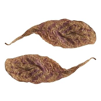 Amazon.co.jp: マジックリーフ 水質を向上する 水槽用 熱帯魚