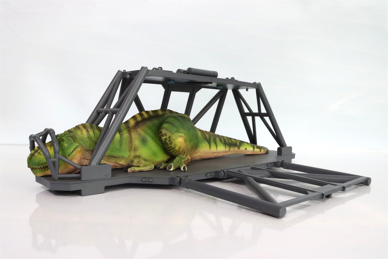 Amazon.com: WLNTDOLA: DINO DREAM