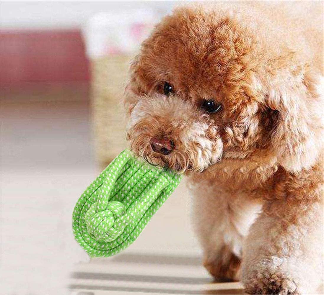 Deriz Dog Chew Toy Slipper Shoe Flip Flops Shape Great
