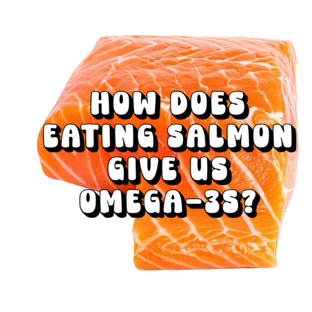 How Does Eating Salmon Give Us Omega-3s?