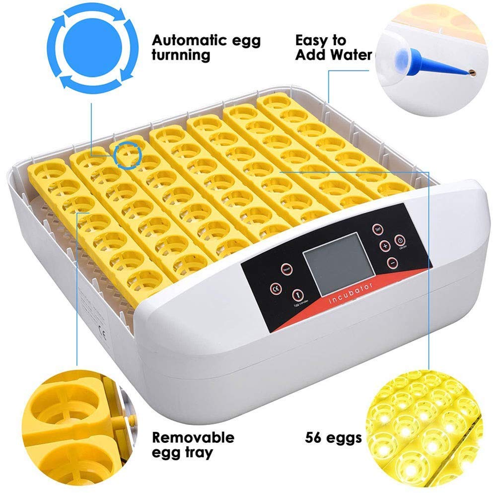 Inkubator 56 Eier Geflügelbrüter Digitale LED-Anzeigen Temperaturregelung Automatisches Wenden mit Licht für Hühner Enten Gänse Vögel