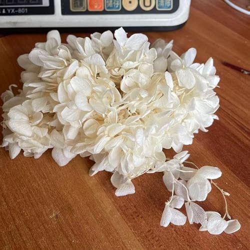 20g/3~4CM Flower Petals,Decorative Preserved Flowers Dried Natural Wood Hydrangea Flower Head,Eternal Big-Leaf Hydrangeas Petal-30
