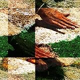 National Geographic Society