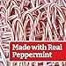 Brach's 12 Peppermint Candy Canes, 12 Count (Pack of 3)