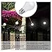 LED Dusk to Dawn Bulb, A19 Frosted E26 Auto On/Off Light Bulb Outdoor, Daylight White 6000K 2-Pack