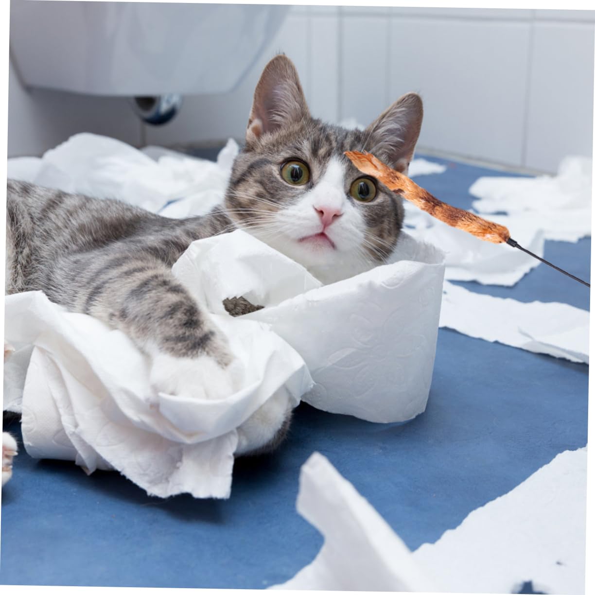 Kisangel 15pièces Jouet Peluche pour Chat Décorative avec Plumes Amusantes Accessoire Interactif pour Instinct De Chasse des Chats